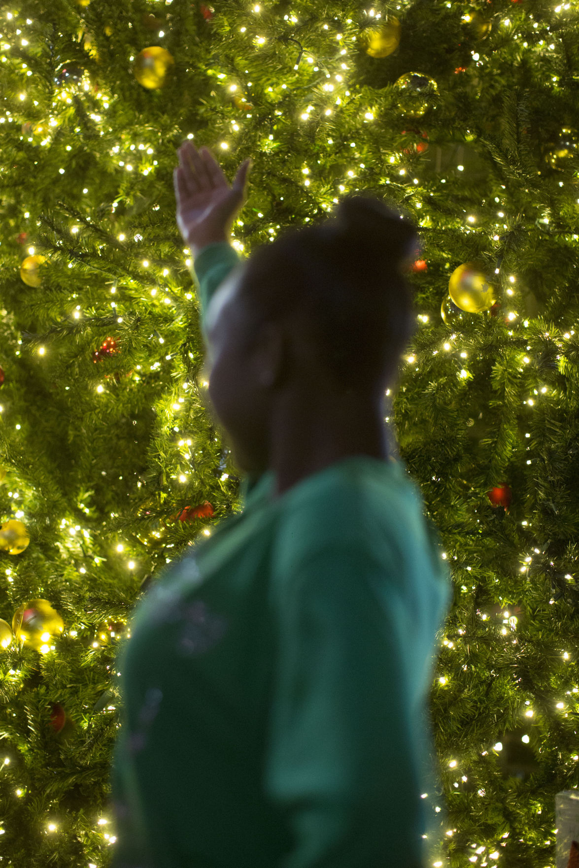 BR.festivaloflights02.120217